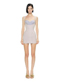 Swin Bodice Corset Dress