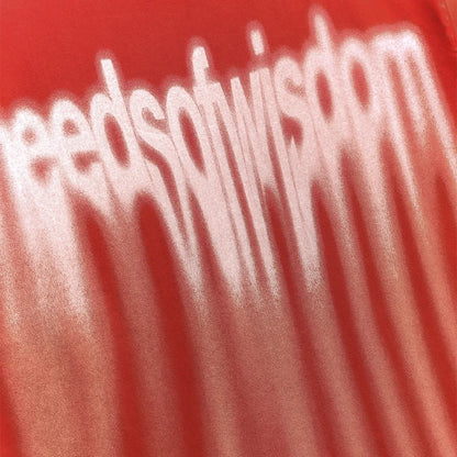 Metal Blur Tee - Washed Red