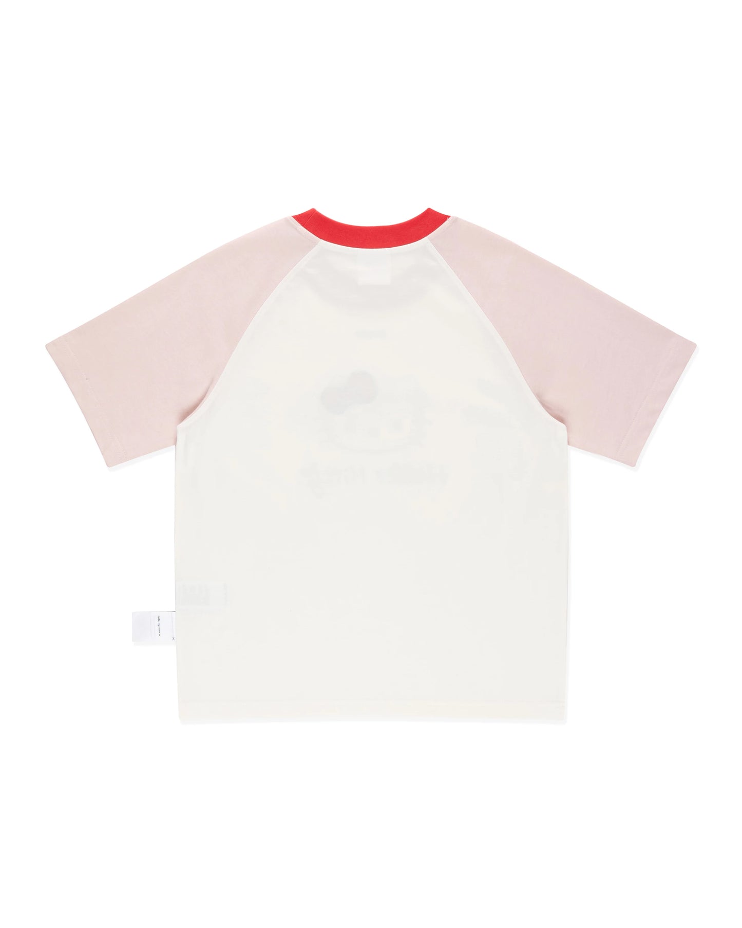 Icon Raglan Regular Tee