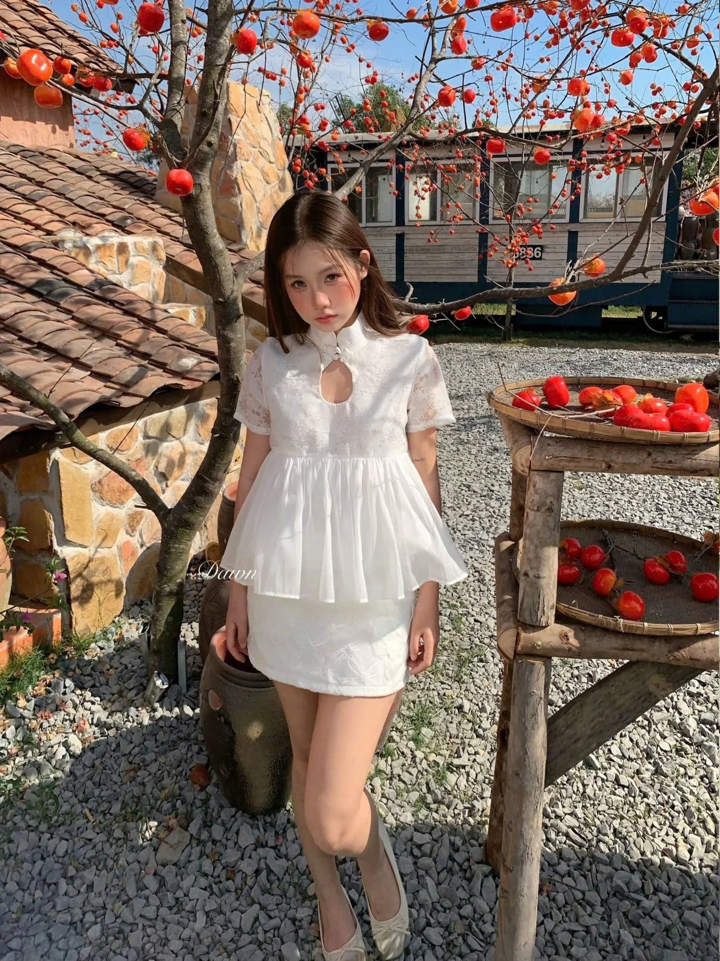 Miso Top